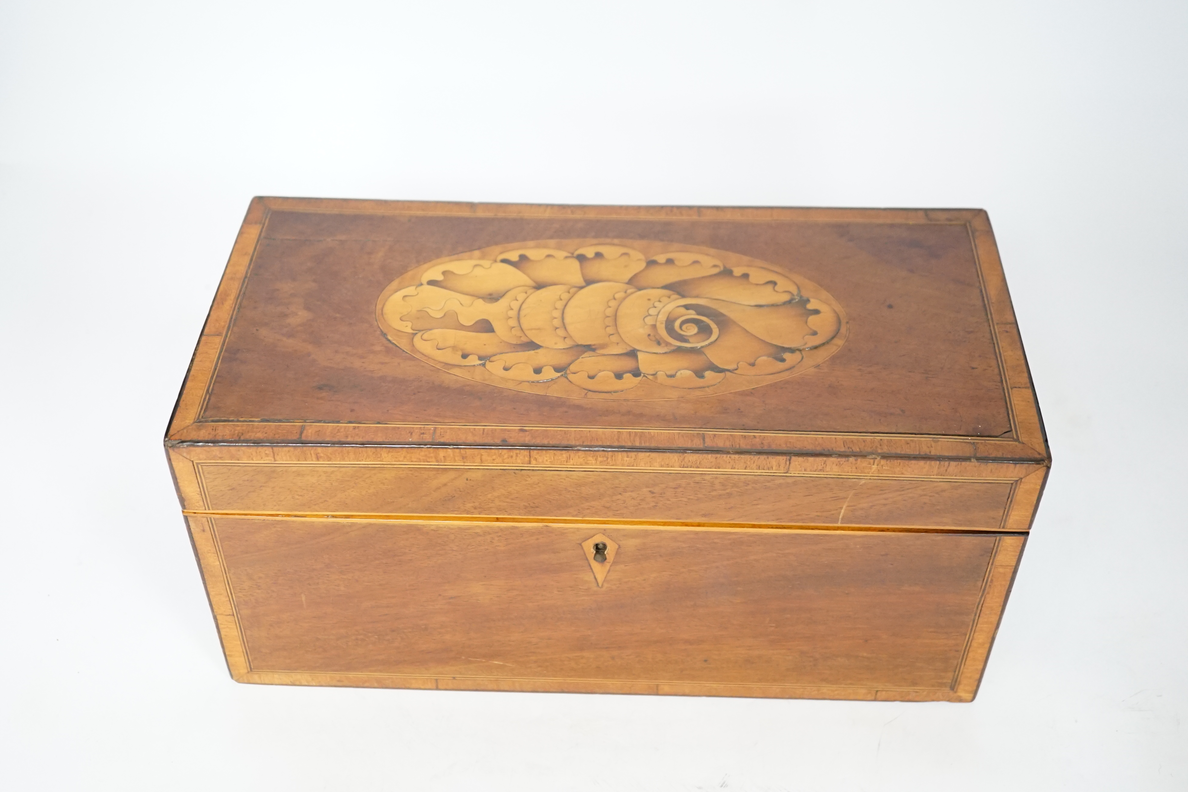 A late George III shell inlaid mahogany tea caddy, 30cm x14cm